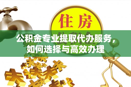 辰溪公积金专业提取代办服务，如何选择与高效办理