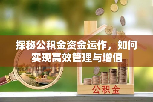 辰溪探秘公积金资金运作，如何实现高效管理与增值