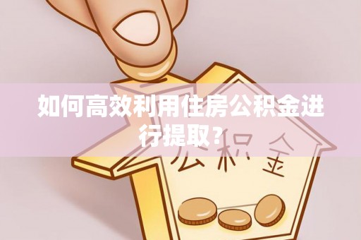 辰溪如何高效利用住房公积金进行提取？