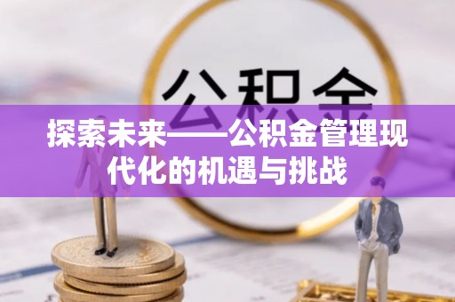 辰溪探索未来——公积金管理现代化的机遇与挑战