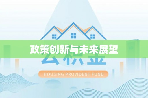 辰溪政策创新与未来展望