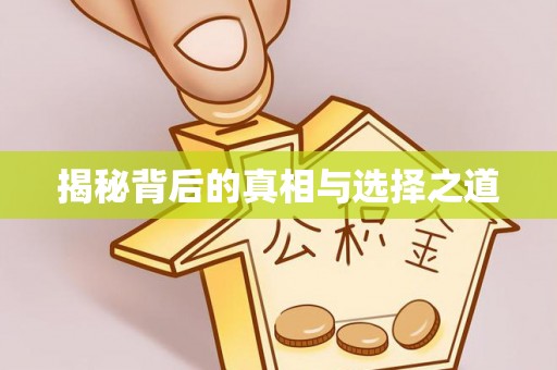 辰溪揭秘背后的真相与选择之道