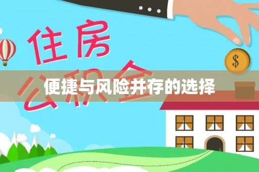 辰溪便捷与风险并存的选择
